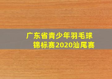 广东省青少年羽毛球锦标赛2020汕尾赛