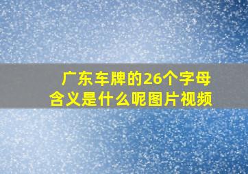 广东车牌的26个字母含义是什么呢图片视频