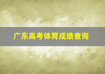 广东高考体育成绩查询