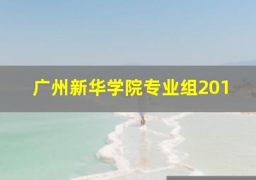 广州新华学院专业组201