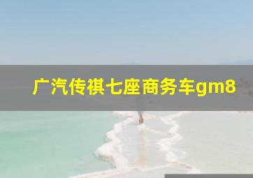 广汽传祺七座商务车gm8