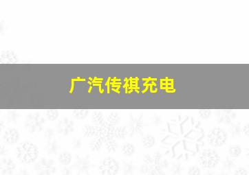 广汽传祺充电