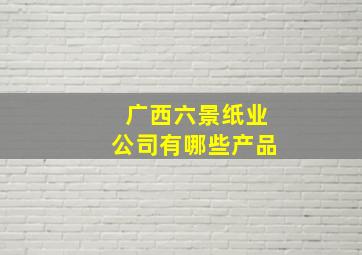 广西六景纸业公司有哪些产品