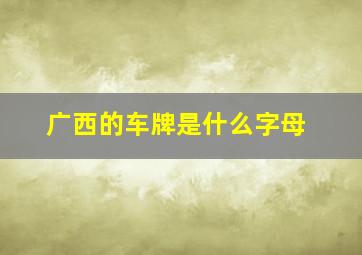 广西的车牌是什么字母