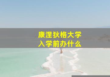 康涅狄格大学入学前办什么