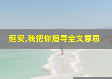 延安,我把你追寻全文意思