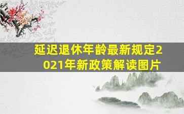 延迟退休年龄最新规定2021年新政策解读图片