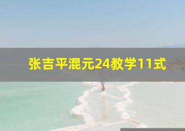 张吉平混元24教学11式