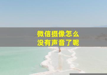 微信摄像怎么没有声音了呢