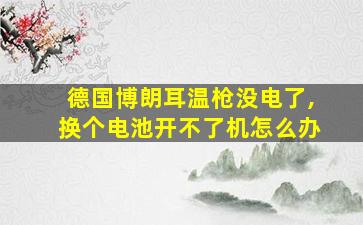 德国博朗耳温枪没电了,换个电池开不了机怎么办