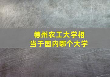 德州农工大学相当于国内哪个大学