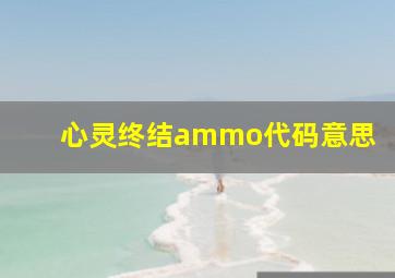 心灵终结ammo代码意思