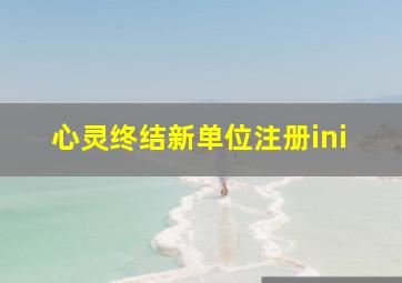 心灵终结新单位注册ini