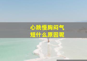 心跳慢胸闷气短什么原因呢