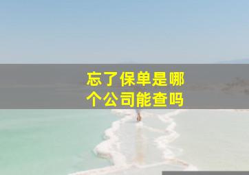 忘了保单是哪个公司能查吗