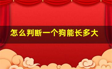 怎么判断一个狗能长多大