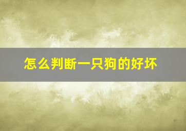 怎么判断一只狗的好坏