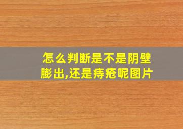 怎么判断是不是阴壁膨出,还是痔疮呢图片