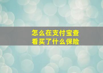 怎么在支付宝查看买了什么保险