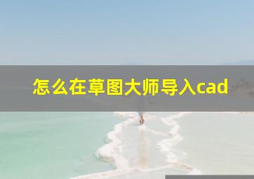 怎么在草图大师导入cad