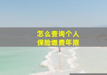 怎么查询个人保险缴费年限