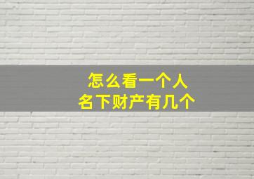 怎么看一个人名下财产有几个