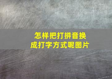 怎样把打拼音换成打字方式呢图片