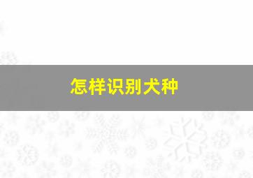 怎样识别犬种