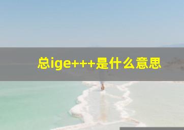 总ige+++是什么意思