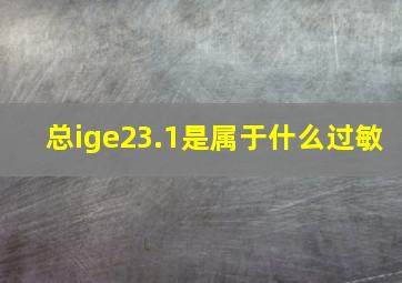 总ige23.1是属于什么过敏