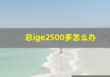 总ige2500多怎么办