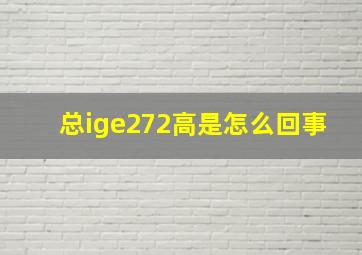 总ige272高是怎么回事