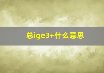 总ige3+什么意思