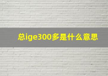 总ige300多是什么意思