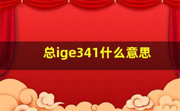 总ige341什么意思