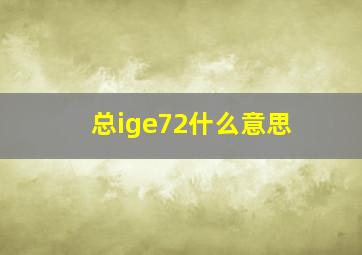 总ige72什么意思