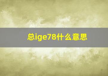 总ige78什么意思