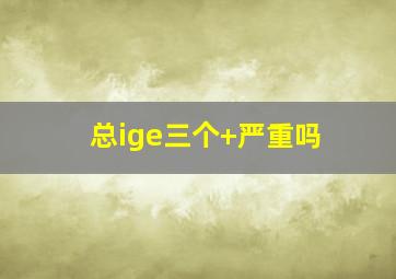 总ige三个+严重吗