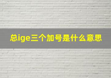 总ige三个加号是什么意思