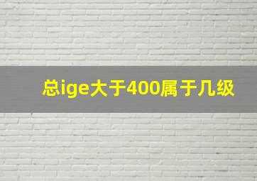 总ige大于400属于几级