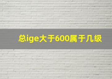 总ige大于600属于几级