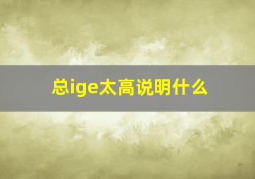 总ige太高说明什么