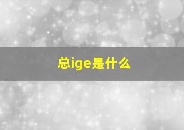 总ige是什么