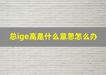 总ige高是什么意思怎么办