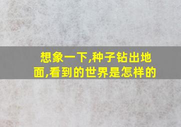 想象一下,种子钻出地面,看到的世界是怎样的