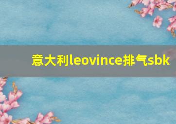 意大利leovince排气sbk