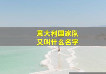 意大利国家队又叫什么名字