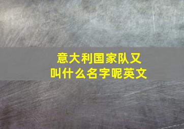 意大利国家队又叫什么名字呢英文