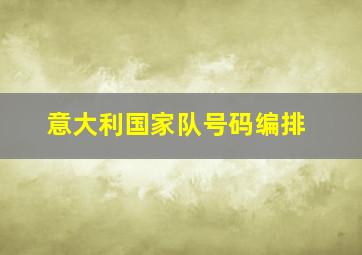 意大利国家队号码编排