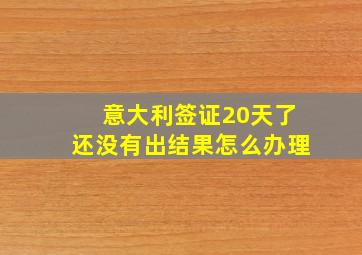 意大利签证20天了还没有出结果怎么办理